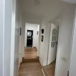 D&d Tirana